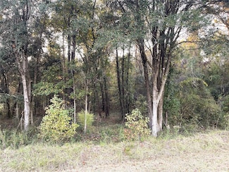 0 NW 145th Ave Lot 25, Williston, FL 32696