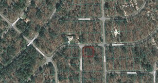 00 Guava Pass Course, Ocklawaha, FL 32179