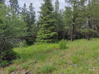 NNA 8 Ac Jackpine, Cottonwood, ID 83522