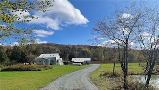 141 Bonnie Brook Rd, Roscoe, NY 12776