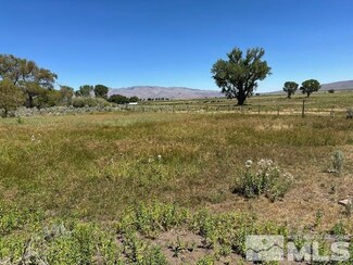 Lot 26 U S 395, Topaz, CA 96133