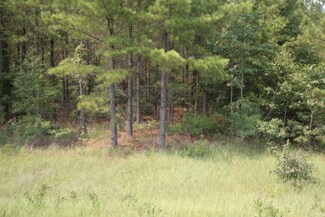 0 Edgehill Avera Rd Unit 325529, Edgehill, GA 30810
