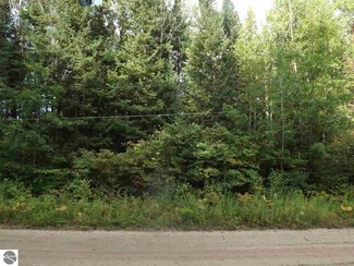 00 Apache Trail, Curtis Township, MI 48737