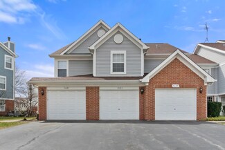 1621 Thornfield Ct Unit 160801, Roselle, IL 60172