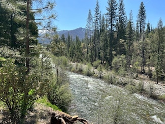 0 River St Unit 631057, Wawona, CA 95389
