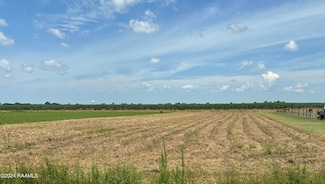 0 Clifton Angelle Rd, Breaux Bridge, LA 70517