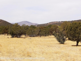 128 Kreuzer Rd, Alto, NM 88312