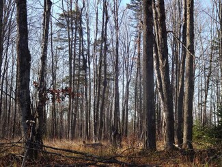 NEAR Net River Rd, Crystal Falls, MI 49902