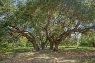 0 Cedar Hill Rd, Brenham, TX 77833