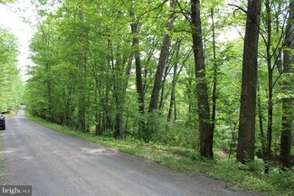 0 C-42 Trout Stream Rd Unit 1001664834, Lost River, WV 26810