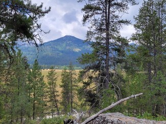 55 Badger Hollow Rd Unit 39, Cascade, ID 83611