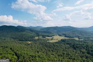 0 N Burgess Gap Rd Unit 10610901, Morganton, GA 30560