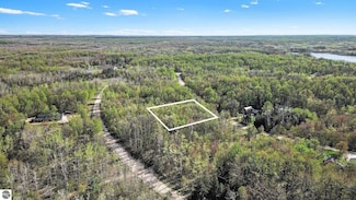 Lot 618 Pinevalley Dr Unit 618, Mancelona, MI 49659