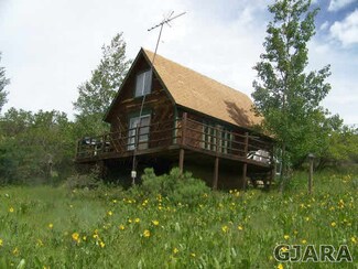 67552 Black Bear Dr, Collbran, CO 81624
