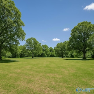 1918 Montgomery St SW, Decatur, AL 35601