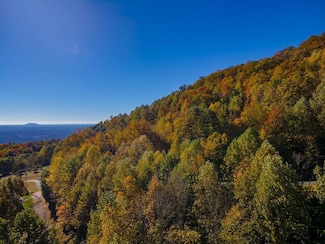 Lot 5 Starry Nights Dr, Fancy Gap, VA 24328