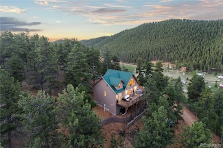 423 Gross Rd, Bailey, CO 80421