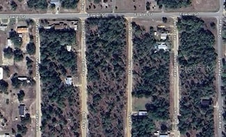 0 April Ave Unit MFRTB8351771, Interlachen, FL 32148