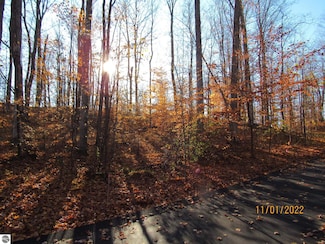 4167 Maple Hill Rd, Blair Township, MI 49637