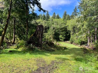 0 Lynn Point Ln Unit NWM2189679, South Bend, WA 98586
