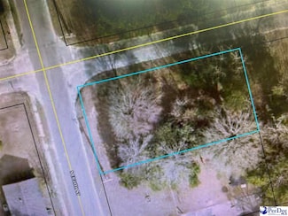 801 S 8th St, Hartsville, SC 29550