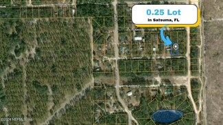 116 Lincoln St, Satsuma, FL 32189