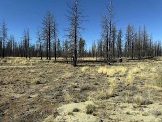 0 Mahogany Ln Unit 3007645, Beatty, OR 97621