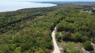 TBD Dillexie Ln, Manistique, MI 49854
