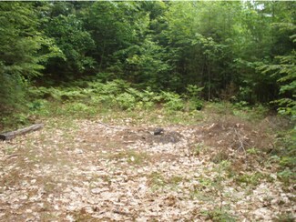 4 Beech River Cir, Center Ossipee, NH 03814