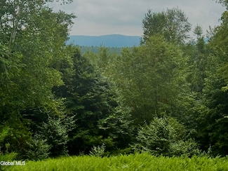 L21.11 Black River Rd, Stephentown, NY 12169