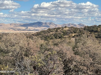 0 Old Duquesne Rd Unit 22 22510704, Patagonia, AZ 85624
