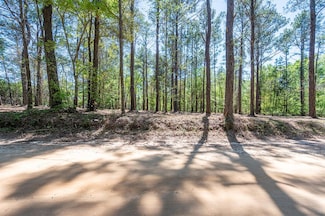 110 Largemouth Dr, Sylvester, GA 31791