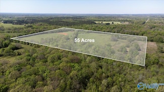 55 acres Day St, Moulton, AL 35650