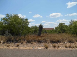 1212 Falcon Ln, Zapata, TX 78076