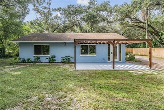 1505 Touchton Rd, Lutz, FL 33549
