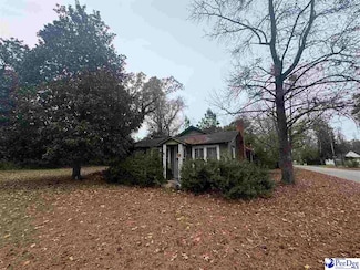 153 E Pine St, Johnsonville, SC 29555