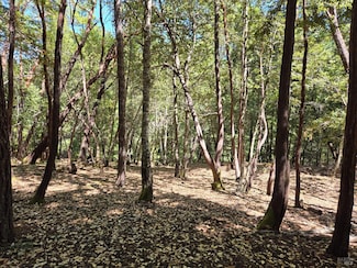 26710 Poppy Dr, Willits, CA 95490