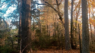 0 River Mill Ln, Franklinton, NC 27525