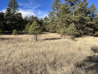 TBD 17th Trail, Cotopaxi, CO 81223