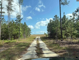 656 Daisy St, Batesburg, SC 29006