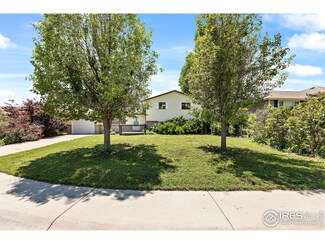 135 Ivy Ct, Windsor, CO 80550