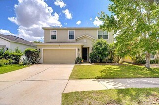 11231 Spring Point Cir, Riverview, FL 33579