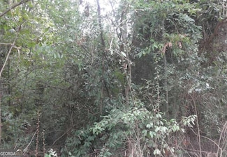 0 Waters St Unit 10553696, Monticello, GA 31064