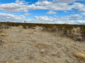 31005410 Dos Palmas Rd, Piñon Hills, CA 92372