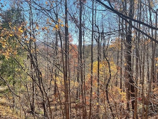 Lot 41C Ash Branch Cir, Hayesville, NC 28904