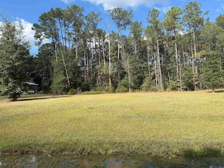 25675 Lark St, Ponchatoula, LA 70454