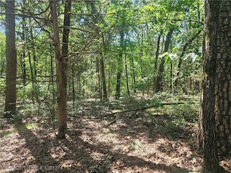 TBD Arkansas 217, Charleston, AR 72933