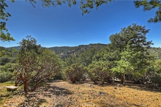 0 Grass Valley Rd Unit IG25030411, Lake Arrowhead, CA 92352