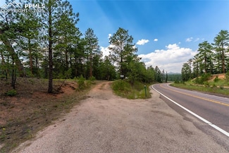 29507 N Highway 67, Woodland Park, CO 80863