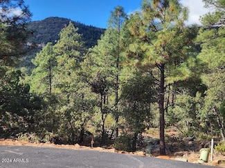 000 Sundown Ln Unit 104, Pine, AZ 85544